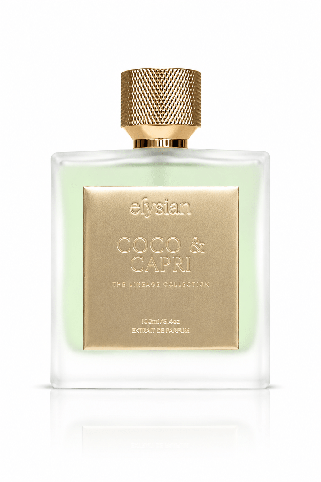 新品　COCO Eau de Parfum 100ml スプレー 新品 COCO Eau de Parfum 100ml スプレー COCO Eau de Parfum Spray