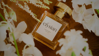 The Most Popular Fragrances from Elysian’s Collection
