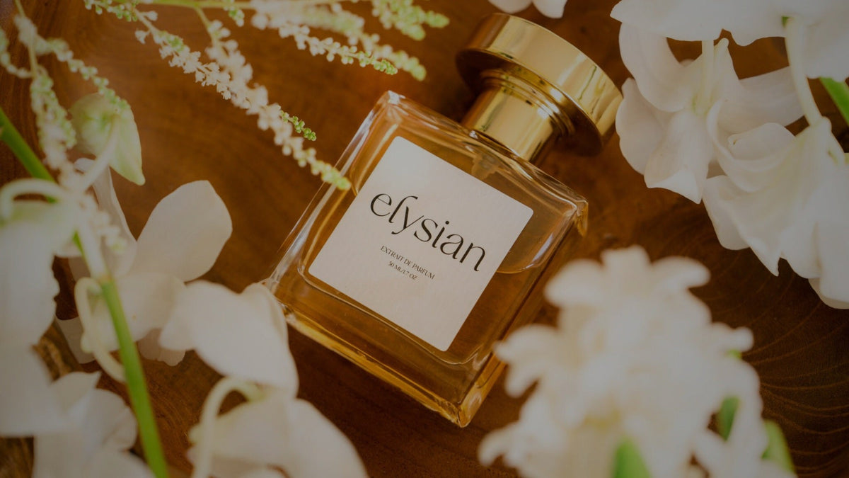 The Most Popular Fragrances from Elysian’s Collection - elysian