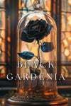 Black Gardenia - elysian