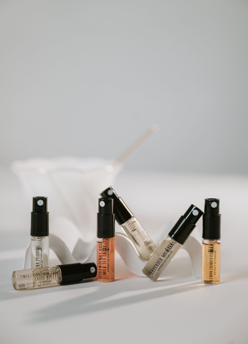 The Tea Party Collection Volume 1 - Discovery Set - elysian